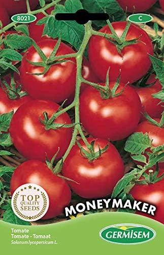 Germisem Moneymacker Semillas de Tomate 1.5 g (EC8021)