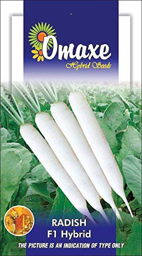 Omaxe Seeds Radish F1 hybrid white Vegetable seeds Kitchen Garden Packet (B07MQFD9PX) Amazon Price History, Amazon Price Tracker