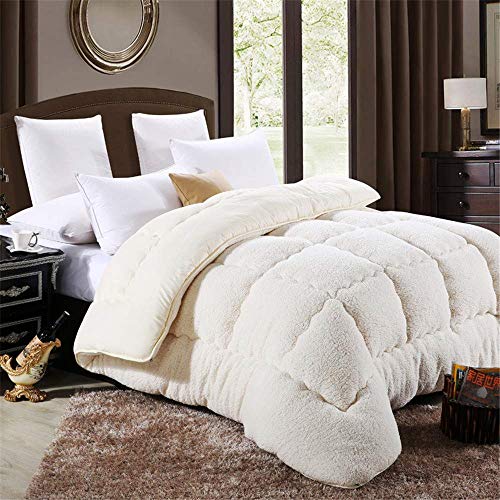 Edredón De Terciopelo De Cordero, Relleno De Microfibra 100% con Peso De Relleno 3000 G, Transpirable Y Agradable para La Piel (Blanco Crema,220x240cm 4.0kg) Cover