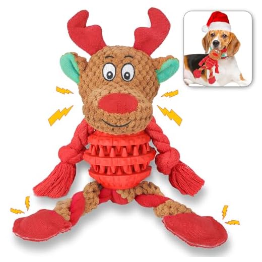 Frbyvad Hundespielzeug für Kleine Hunde