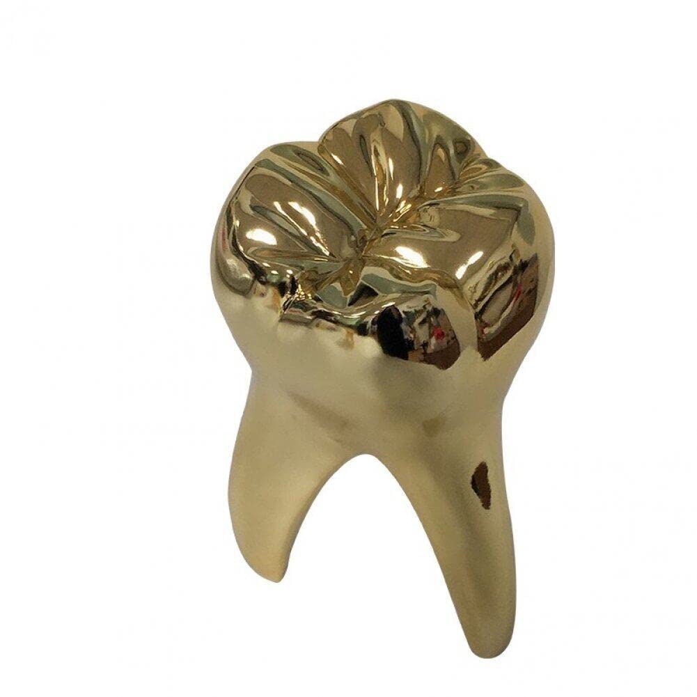 Zęby artystyczna rzeźba vintage motyw dentystyczny kształt zębów figurka zęby ornament model do dekoracji biurka biurowego