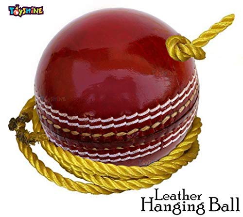 Toyshine Cricket Hanging Ball For Shot Practice, (Leather, Sstp, Red) 2 51AF3q4oWVL