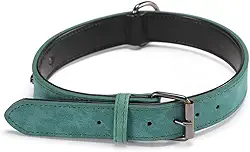 Coleira Ajustável Com Dupla Espessura Reforçada Confortável Para Cachorro Grande Médio Pequeno Porte(Verde,M (2,0cm))