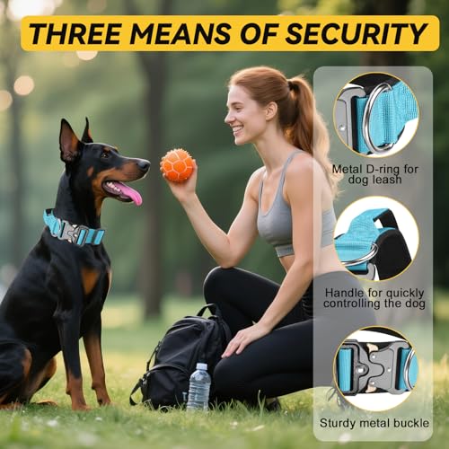 Viugex Hundehalsband Verstellbar mit Kontrollgriff, Taktisches Nylon Hunde Halsband mit Metallschnalle, Langlebig, Wetterfest & Komfortabel, für Welpen Kleine Mittlere Große Hunde (Blau, L)