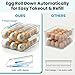 2 Tier Egg Holder for Refrigerator with Lid, Large Capacity Holds 36 Eggs in Clear Plastic Container Stackable Bin Organizer for Kitchen Storage, Refrigerator, Countertop