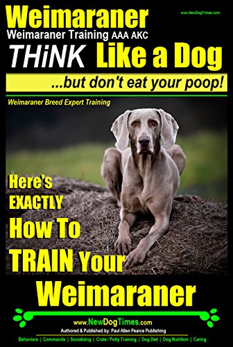 Weimaraner, Weimaraner Training AAA AKC | Think Like a Dog, But Don’t Eat Your Poop! | Weimaraner Breed Expert Training: Here's EXACTLY How To Train Your Weimaraner