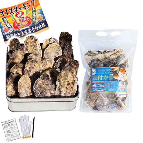 VIVID LIFE 牡蠣 カンカン焼き おかわり セット 3.5kg 25?35個 大中サイズ 宮城県産 冷凍 (軍手・ナイフ付) 缶焼き 三陸 バーベキュー BBQ かき カキ kaki 海鮮