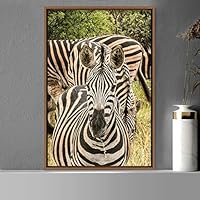 Framed Canvas Wall Art Zebra Animals Dramatic Farmhouse/Country Living Room Multicolor Photography Zebra - 16x24 inches