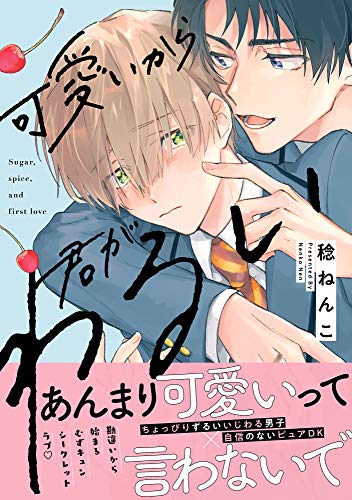 可愛いから君がわるい