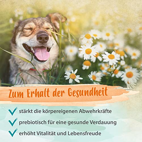 Bierhefe-Tabletten für Hunde und Katzen – 120 Stück