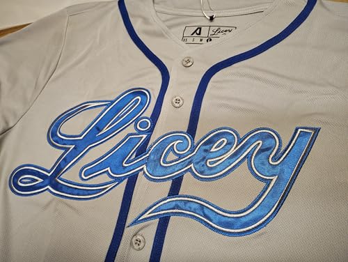 Camiseta de béisbol clásica para hombre Arrieta, oficial Tigres del Licey, poliéster que absorbe la humedad, temporada 2025-2026 miniatura 4