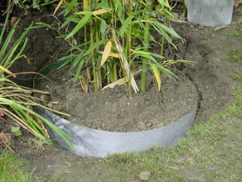 Plantex Sprężyna korzeniowa 0,7 x 5 m