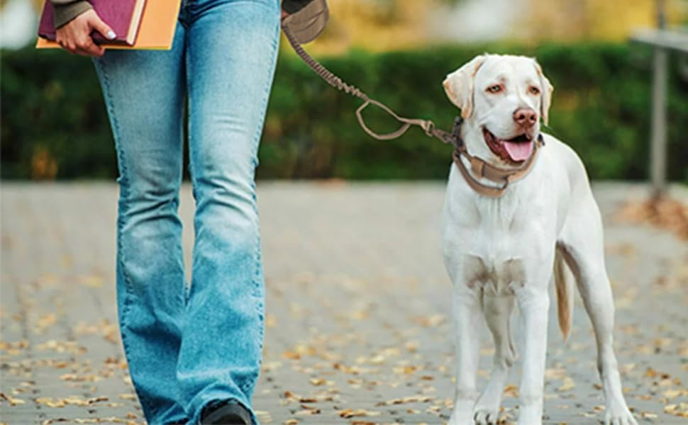 Miniatura 6 de Juego de collar táctico y cuero para perro, collar militar para perro, hebilla de metal pesado ajustable, adecuado para perros M, L, XL (juego