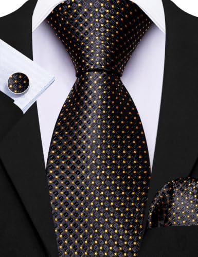 Image of Barry.Wang 6 PCS Men Ties Set Silk Business Fashion Woven Necktie Handkerchief Cufflinks Paisley Stripe Wedding Party