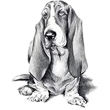 YSCOLOR Diamond Painting 5D Diy Diamant Peinture - Full Drill Basset Hound - Kits De Peinture Par Numéros Pour Adultes Diamond Broderie Peintures Stitch 30x40cm