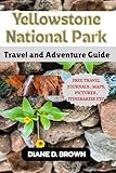 yellowstone national park travel and adventure guide: a practical companion for first-time travelers (english edition)