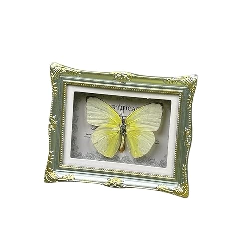 1Pcs Real Butterfly Framed Handmade, Taxidermy Butterfly Shadow Box Collection, Framed Butterfly Taxidermy for Oddities and Curiosities Gifts Tabletop Ornaments (E-Butterfly Specimen+Photo Frame) - Image 3