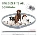 DEWEL Collar Antiparasitos para Perro,Gato Pequeño Mediano Grandes contra Pulgas, Garrapatas y...