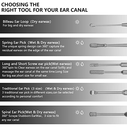 Hion Ohrenreiniger, Ohrenschmalz Entferner 6 in1 Medizinischer Ohrreiniger aus Edelstahl mit Aufbewahrungskiste Ear Cleaner, Geeignet für Kinder Jugendliche und Erwachsene(Silber)
