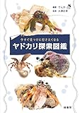 今すぐ見つけに行きたくなるヤドカリ探索図鑑