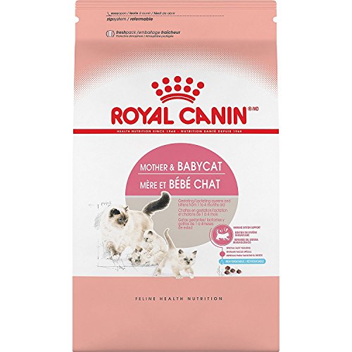 Royal Canin 3.5-Pound, Mother and Babycat Cat Food with Vitamin E, Vitamin C