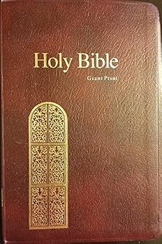 Imitation Leather The Holy Bible, Old and New Testaments, Authorized King James Version, Self-Pronouncing, Words of Christ in Red with Read-Along References and Read-Along Translations [Violet] Book