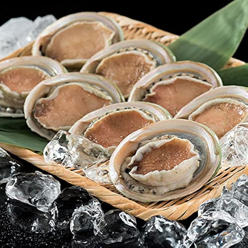 港ダイニングしおそう アワビ 殻付き 1kg 約8 9粒入り 翡翠の瞳 鮑 あわび 冷凍アワビ L3b9hflll4 Www Alefbet Org Br
