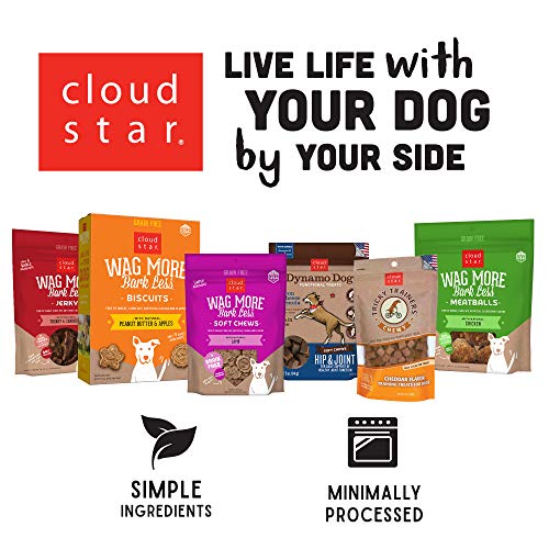 Cloud Star Dynamo Dog Tummy Treats – Soft & Chewy Probiotics Support for Dogs (14 oz. Pumpkin and Ginger)