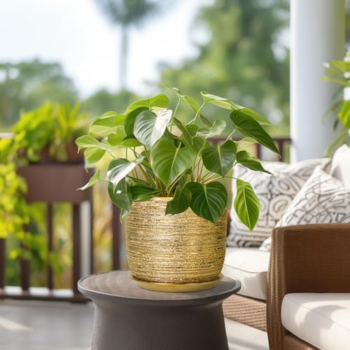 SUNPOTFOR 8 Inch Plant Pot - Modern Round Ceramic Planter for Indoor Plants with Drainage Hole and Saucer, Home House Office Room Decor, Gold - 3