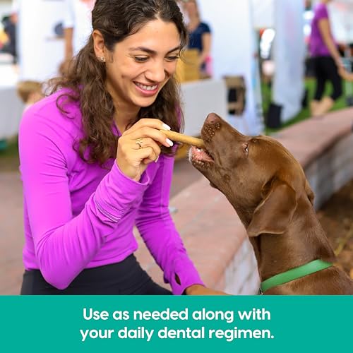 Ark Naturals Pasta de dente sem escova Breath Bursts, palitos dentários para cães para raças grandes