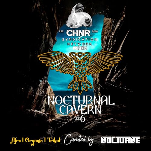 Nocturnal Cavern #6 (Organic, Afro, Tribal)