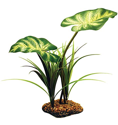 Komodo Broadleaf Canopy pour Reptile/Amphibien