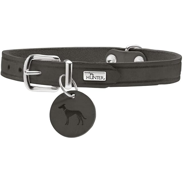 Hunter Collar para Perro Aalborg, Color Gris Piedra, Piel Resistente y Resistente, con Fuerte Grasa