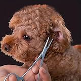 SinChic Hämostatische Pinzette,Edelstahl Hemostat Hund Katze Haustier Schere Haustier Puller Pinzette für Haustier Grooming Hund Ohr Haar Puller Locking Forceps