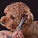 SinChic Hämostatische Pinzette,Edelstahl Hemostat Hund Katze Haustier Schere Haustier Puller Pinzette für Haustier Grooming Hund Ohr Haar Puller Locking Forceps
