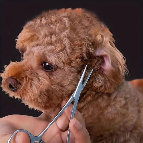 SinChic Hämostatische Pinzette,Edelstahl Hemostat Hund Katze Haustier Schere Haustier Puller Pinzette für Haustier Grooming Hund Ohr Haar Puller Locking Forceps