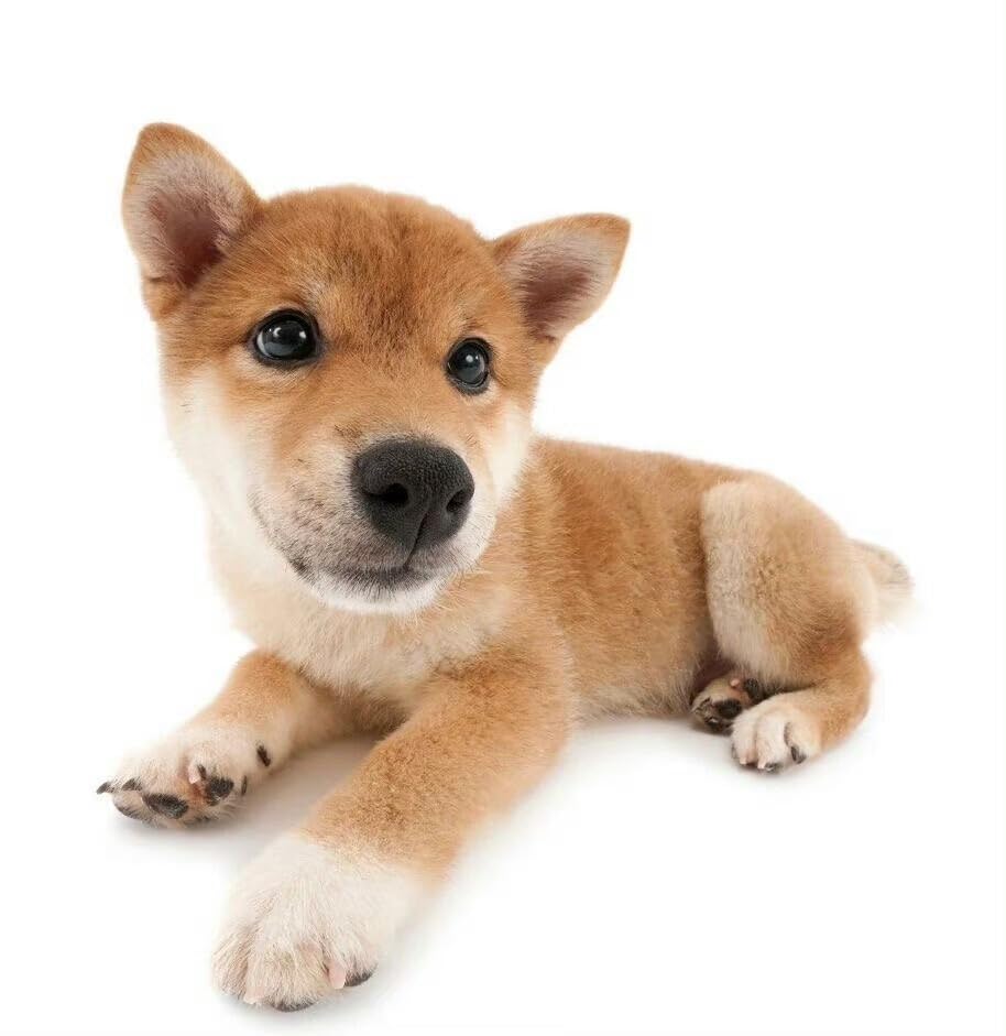 Women's Cotton Linen Palazzo Pants Wide Leg Flowy Loose Fit Gauze Casual Summer Outfit Elastic Waist with Pockets2