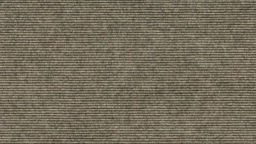 Tretford Teppichboden Ever 2 Meter Breit vorgegebene Größen Größe 250cm, Farbe 538