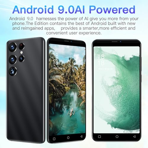 Téléphone mobile Android 9.0 pour simplifier la communication double SIM S25U - 6