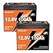 2 Pack 12V 100Ah Mini LiFePO4 Lithium Battery Built-in 100A BMS 1.28kWh 10-Year Lifespan Rechargeable Battery 6000 Deep Cycles Perfect for RV Solar System Camping Off-Grid