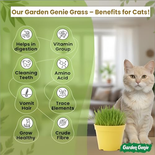 Image of Garden Genie Cat Grass Seeds DIY Growing Kit for Pets, Set of 1