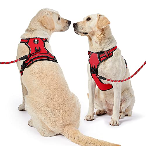 Nestroad No Pull Dog Harness,Adjustable Oxford Dog Vest Harness With Leash,Reflective No-Choke Pet Harness With Easy Control Soft Handle For Small Dogs(Small,Red) #TOP1