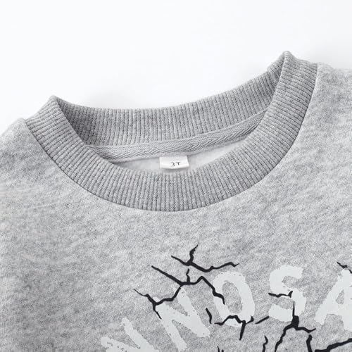 Image of Popshion Toddler Boys Sweatshirts Dinosaur Long Sleeve Pullover Crewneck Shirts Cartoon Tee Sport Tops for Kids 1-8T