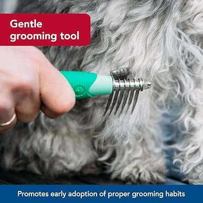 Coastal Pet Li'l Pals Stainless Steel De-Matting Comb - Easy-Grip Handle for Pet Grooming Small Dogs