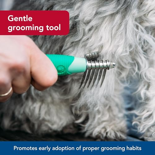 Coastal Pet Li'l Pals Stainless Steel De-Matting Comb - Easy-Grip Handle for Pet Grooming Small Dogs - Image 4