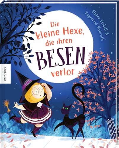 Preisvergleich Produktbild Die kleine Hexe, die ihren Besen verlor