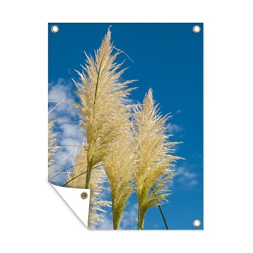 MuchoWow Poster exterieur Plantes - Herbe de la pampa - Air Decoration murale 90x120 cm Résistant aux intempéries/soleil