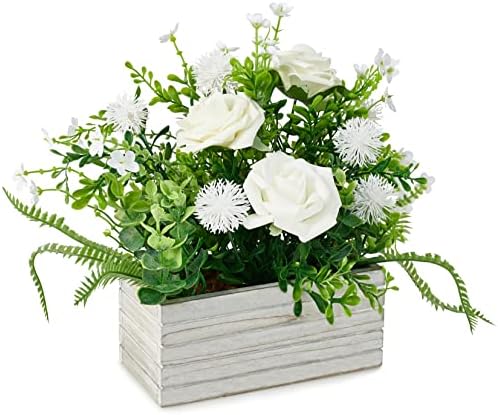 Mr. Bom Rose in Pot (White)