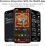 Bluesound Node Nano Wireless High Resolution Multi-Room Music Streamer