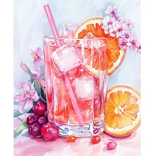 NEWENMO Pintar por Numeros Adultos Bebida Rosa,Limón Pintura por Numeros Kit,DIY Paint by Numbers Kits,con Pinceles y Pigmento Acrílico,para Principiantes Hogar Decoracion 40x50cm